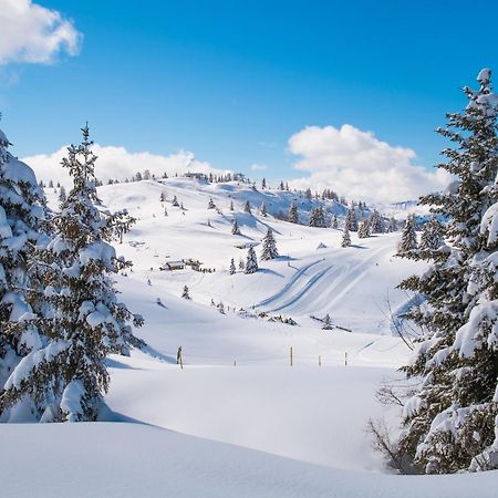 Chalet Anelie Happy Rentals Les Houches Zewnętrze zdjęcie