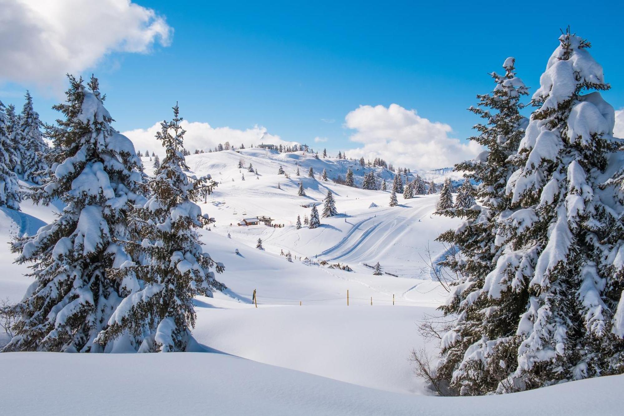Chalet Anelie Happy Rentals Les Houches Zewnętrze zdjęcie